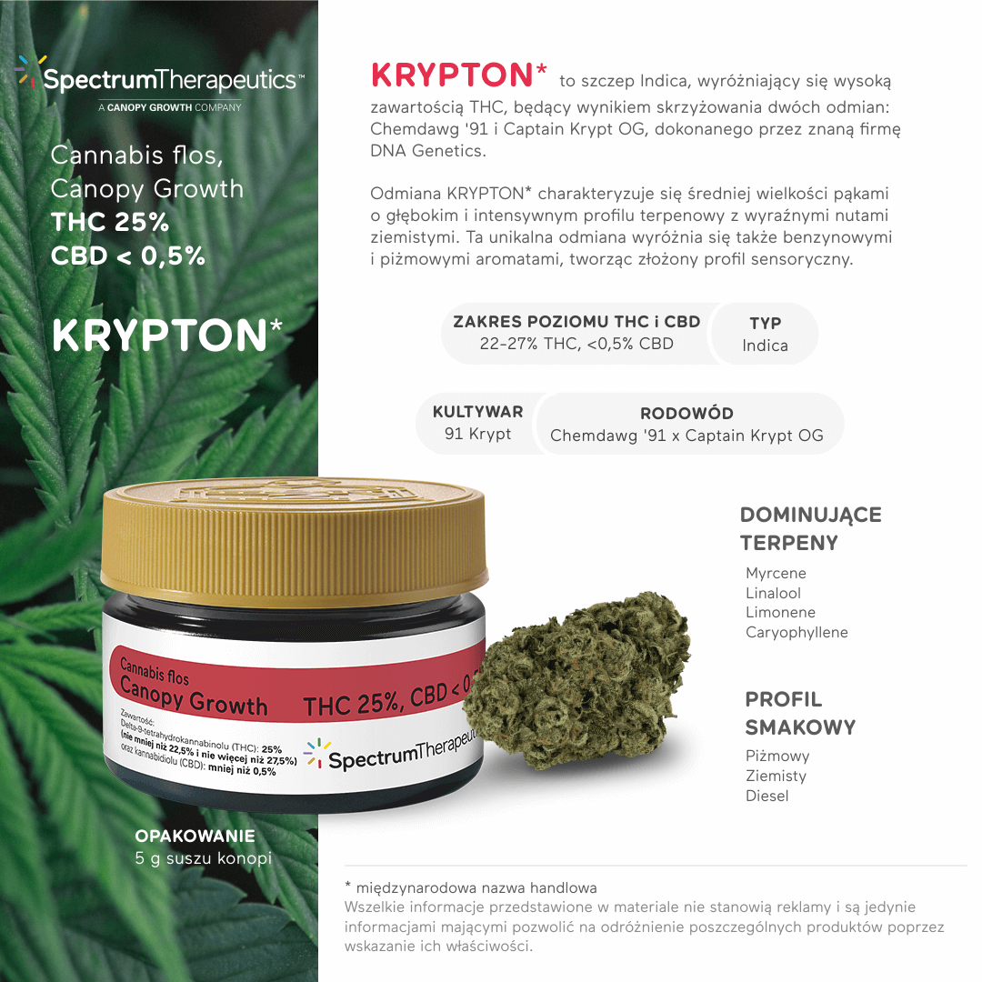 Krypton 25% THC – Najmocniejsza odmiana medycznej marihuany