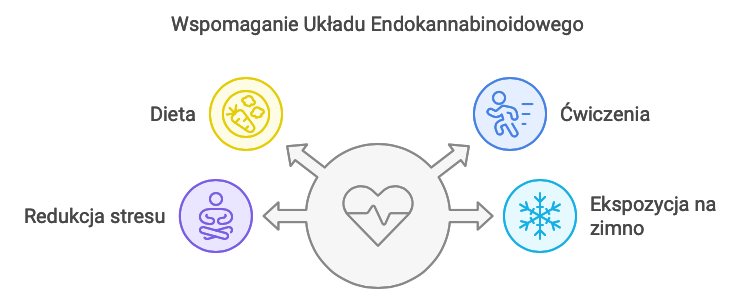 Wspomaganie Układu Endokannabinoidowego