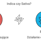 indica vs sativa