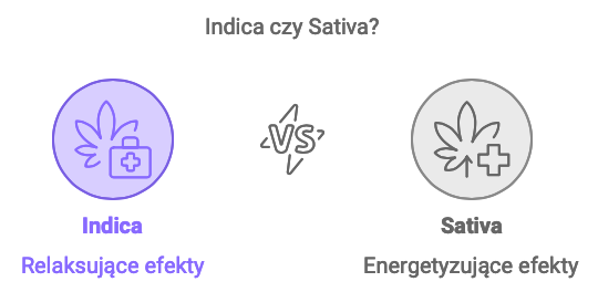 indica vs sativa