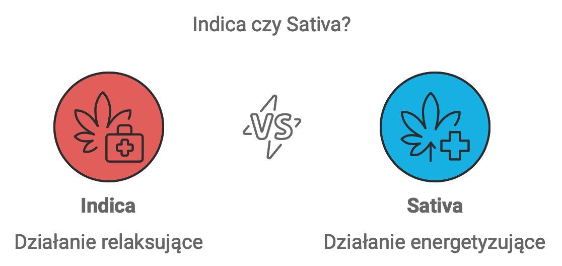 Indica vs Sativa – jakie są różnice w działaniu?