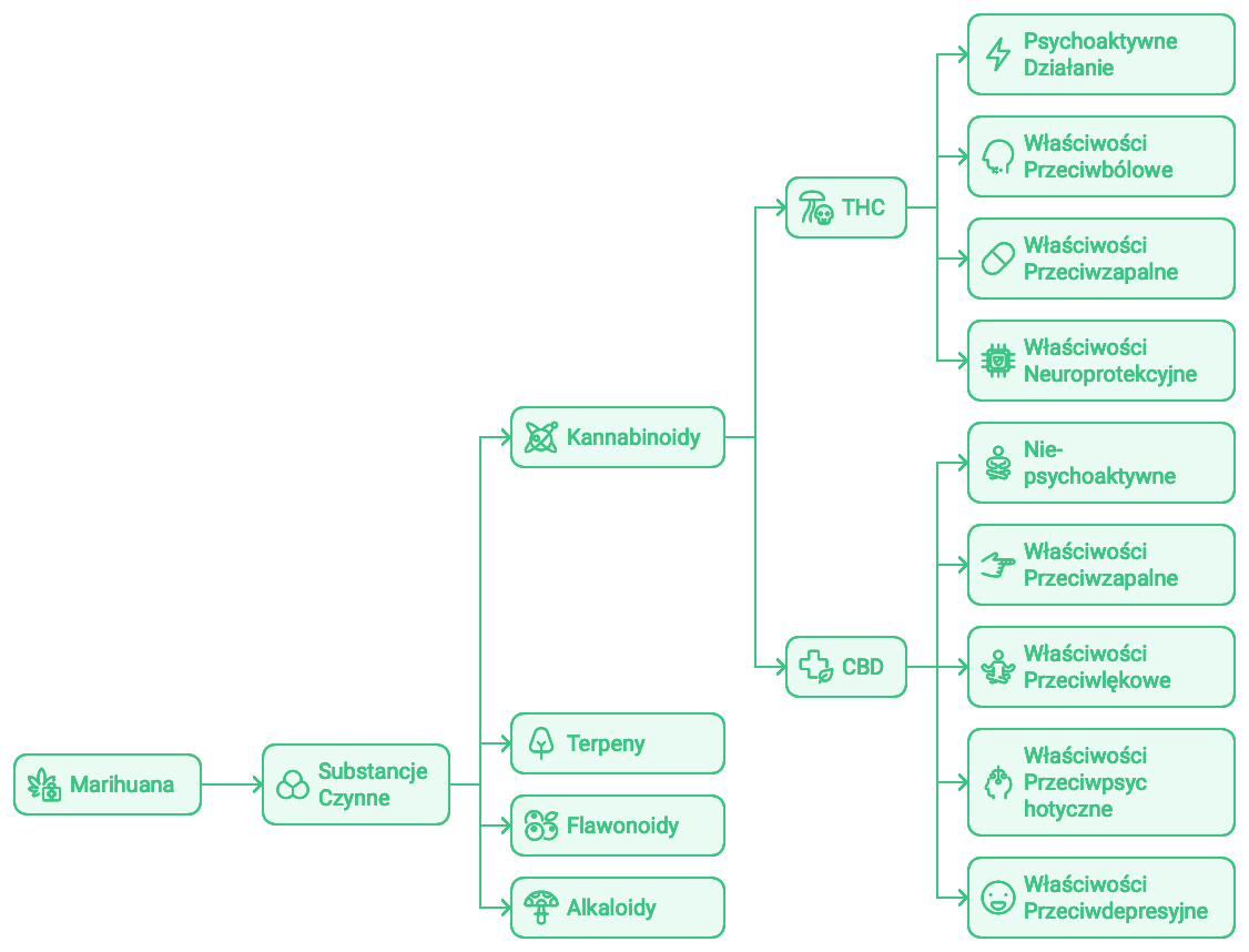 medyczna marihuana - skład i działanie