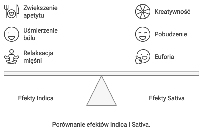 porównanie efektów indiva i sativa