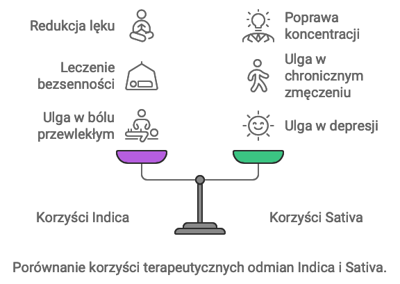 porównanie korzyści terapeutycznych odmian indica i sativa