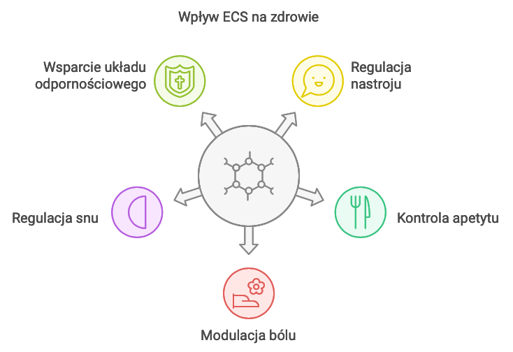 wpływ ecs na zdrowie