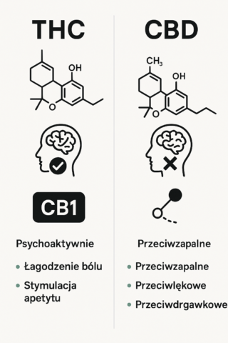 Will I get high even after taking Royal CBD Gummies?