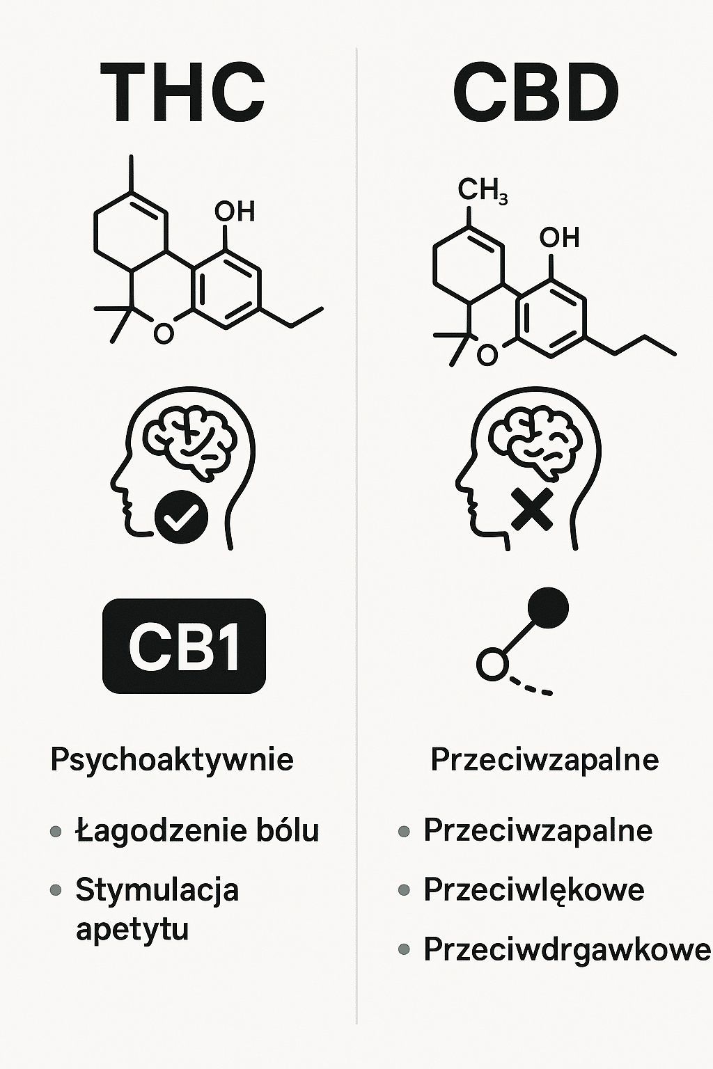 Infografika porównująca główne różnice między THC a CBD w medycznej marihuanie – psychoaktywność, działanie, struktura i kluczowe efekty terapeutyczne.