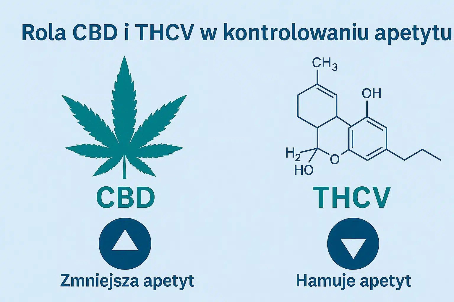 Porównanie CBD i THCV – dwóch kannabinoidów o działaniu zmniejszającym apetyt.