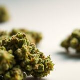 Czy medyczna marihuana pomaga na ból u pacjentów onkologicznych?