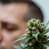 Czy medyczna marihuana pomaga na migrenowe bóle głowy?