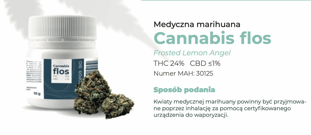 Frosted Lemon Angel PhytoPūr Bio  – (THC 24%) odmiana medycznej marihuany