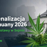 Depenalizacja marihuany w Polsce 2026 – projekt ustawy w Sejmie