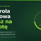 Kontrola drogowa a susz na receptę — dwa kroki badania: test ze śliny, potem badanie krwi. Grafika informacyjna MedCan Clinics