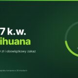 Karta: art. 87 Kodeksu wykroczeń a marihuana – grzywna od 2500 zł i zakaz prowadzenia do 3 lat